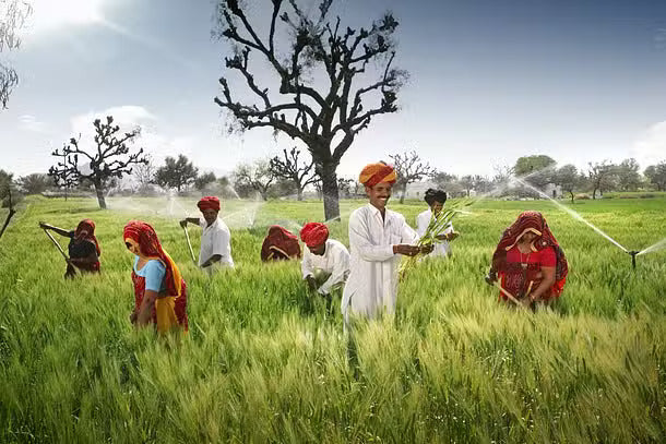 How Supporting Local Farmers Benefits Both Our Customers and Agriculture